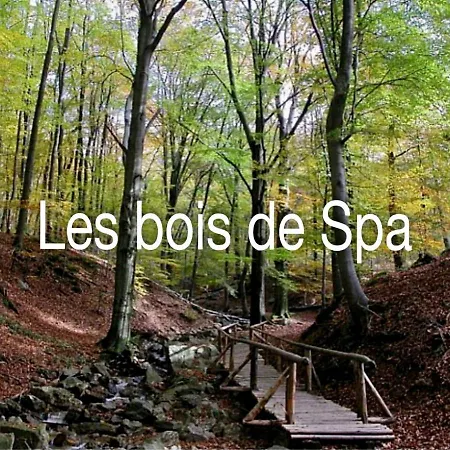 La Ferme Du Soyeuru 3* Σπα
