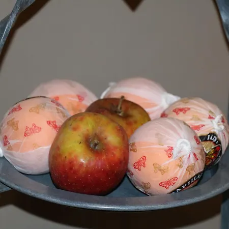 Hotel La Ferme Du Soyeuru 3*