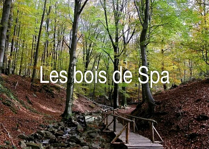 La Ferme Du Soyeuru 3* Spa