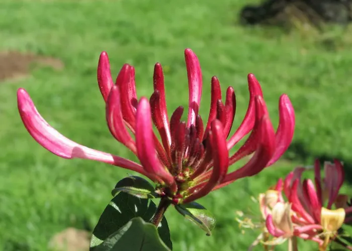 La Ferme Du Soyeuru 3* Spa